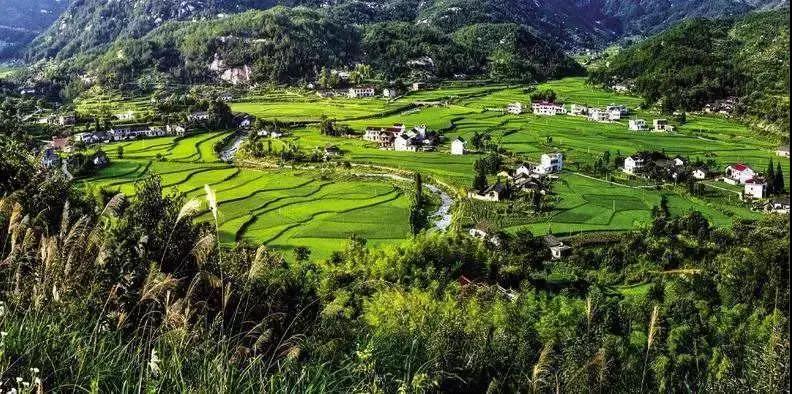 農(nóng)旅康養(yǎng)旅游項(xiàng)目，策劃才是靈魂！